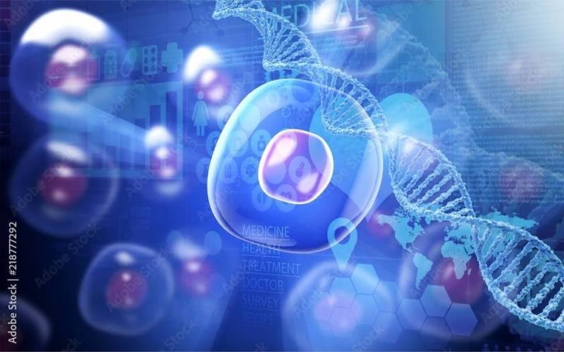 RELAXATION DYNAMIQUE 7 ET 8